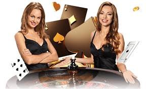 q8bet login